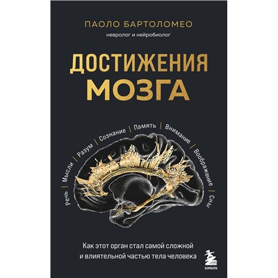 Эксмо Паоло Бартоломео "Достижения мозга. Как этот орган стал самой сложной и влиятельной частью тела человека"