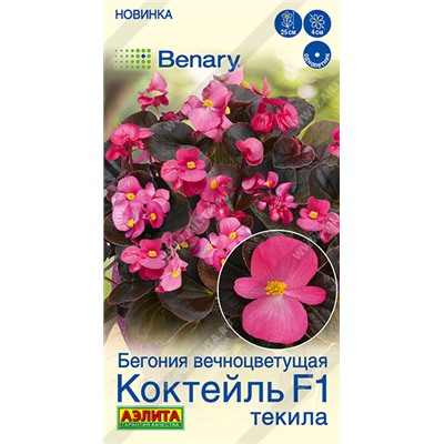 Бегония Коктейль Текила F1 (Код: 93535)