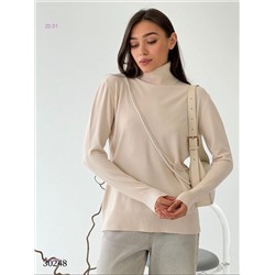 Водолазка 2054292-1