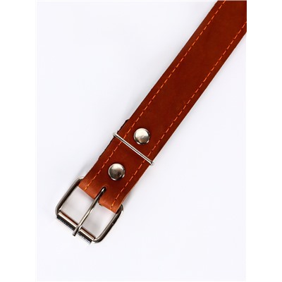 Ошейник комбинированный безразмерный, кожа/брезент, 65×3.5 см, ОШ 31-61 см, коричневый