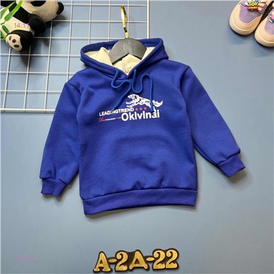 кофта с начесом 1848749-2