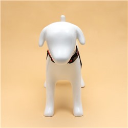 Шлейка улучшенная К7, размер S, ОГ 44-55 см, вес 5-9 кг, мягкая, светоотражающая, оранжевая