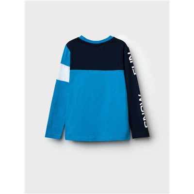 Фуфайка трикотажная для мальчиков (футболка с длинными рукавами)