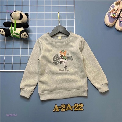 кофта с начесом 1820978-3