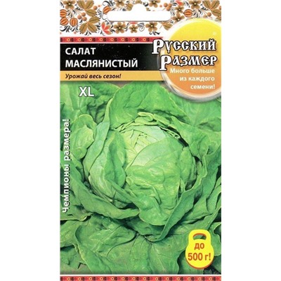 Салат Маслянистый Русский размер (НК)