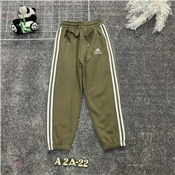 штаны с начесом 2054505-4