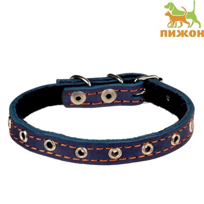 Ошейник кожаный на синтепоне, безразмерный, 37×1.5 см, ОШ 21-31 см, синий