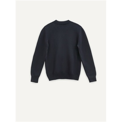 Джемперы ESLI Джемпер для мальчика 24С-14СП