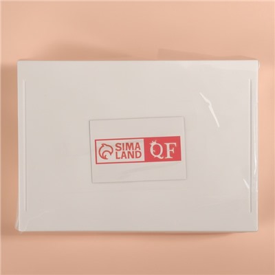 Органайзер для хранения «BASIC», 1 секция, 23×17×5 см, белый, прозрачный