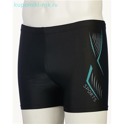 2204/1 Шорты купальные мужские (44-54)