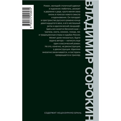 440994 АСТ Сорокин, Владимир Георгиевич. "Роман"