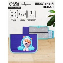 Пенал школьный, 1 секция, 14×21×4 см «Сиба»