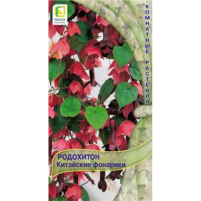 Родохитон Китайские фонарики (комн) (П)