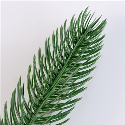 Ветка еловая зелёная, набор 100 шт.
