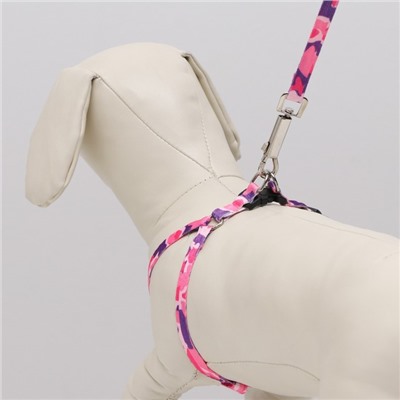 Комплект «Камуфляж», капрон, ширина 1 см, шлейка 21-35 см, поводок 120 см, капрон, розово-фиолетовый