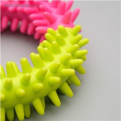 Игрушка жевательная для собак «Кусочек счастья», 9.5 см