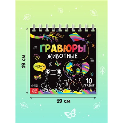 Гравюра детская «Творческая книга. Животные», 14 стр., штихель