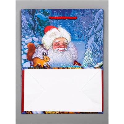 Пакет подарочный новогодний ламинированный, «Дед мороз», 18×10×22.3 см