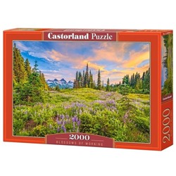 Пазлы 2000 "Утренние цветы"