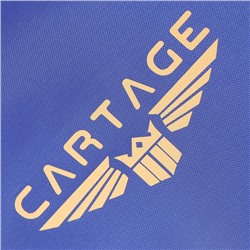 Термосумка Cartage Т-08, синяя, 10 л, 26×19×19 см