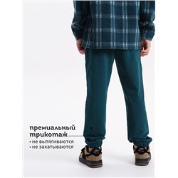 PELICAN Брюки BFPQ3321U