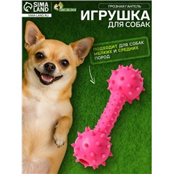 Игрушка жевательная «Грозная гантель», 15×5 см, розовая