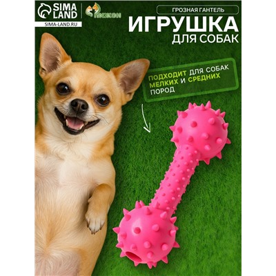 Игрушка жевательная «Грозная гантель», 15×5 см, розовая
