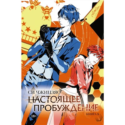АСТ Си Чжицзяо "Настоящее пробуждение. Real Awakening. Книга 3"