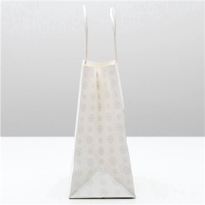 Пакет подарочный новогодний «Год Новый, а ты старый», 22×22×11 см