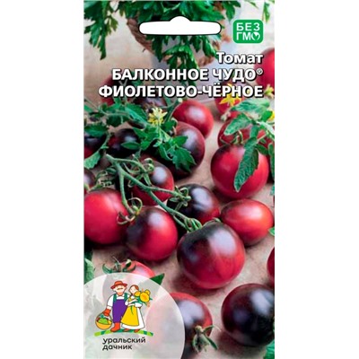 Томат Балконное Чудо ФИОЛЕТОВО-ЧЕРН