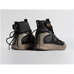 Зимние Кроссовки Nike ACG Air Terra Antarktik