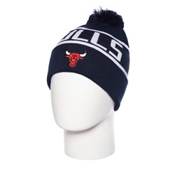 Шапка Sport LJ-957 Bulls