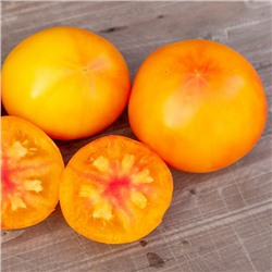 7010T Томат Вариегатный Дракон 10шт