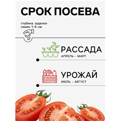 Семена Томат «Инской», 0.08 г, «Агрос»