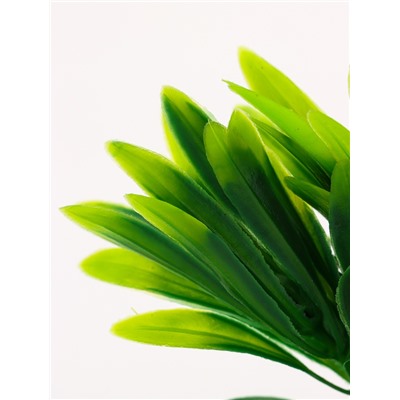 Растение искусственное аквариумное, на подставке под камень, 17×14×16 см