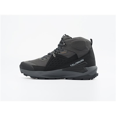 Ботинки Salomon ELIXIR MID GTX