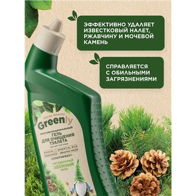 Многофункциональный гель для очищения туалета «Хвойный микс» Home Gnome Greenly