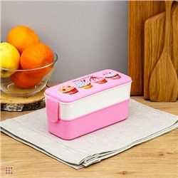 Ланч-бокс 2 секции (0, 5л+0, 5л), 19х8х9, 5см, с декором, пластик