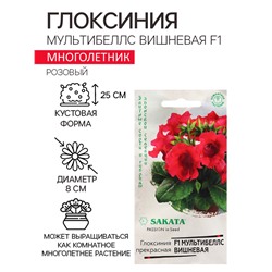 Семена Глоксиния "Мультибеллс вишневая", ц/п,  F1, 4 шт.