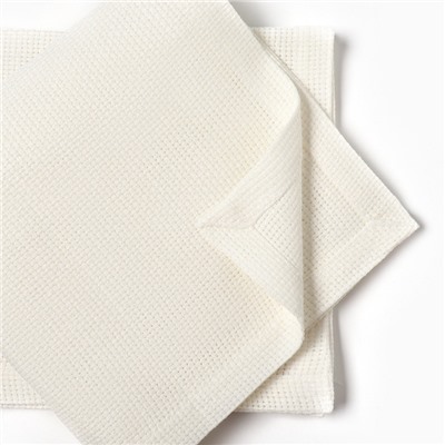 Набор салфеток «Этель» Cloudy, 40×40 см - 2 шт., лён 100%, 210 г/м²