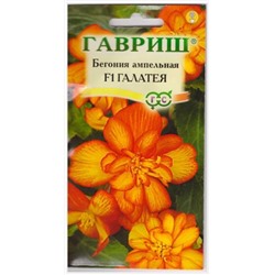 Бегония Галатея F1 (Код: 16751)
