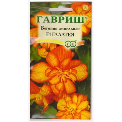 Бегония Галатея F1 (Код: 16751)