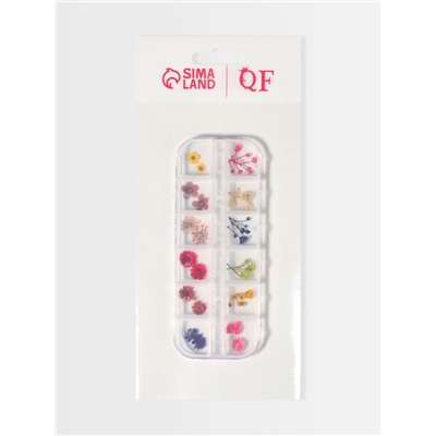 Сухоцветы для декора «Ассорти», объёмные, 12 видов, в футляре, разноцветные