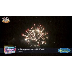Фейерверк Р7503 Город не спит (1" х 48)