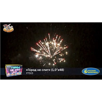 Фейерверк Р7503 Город не спит (1" х 48)