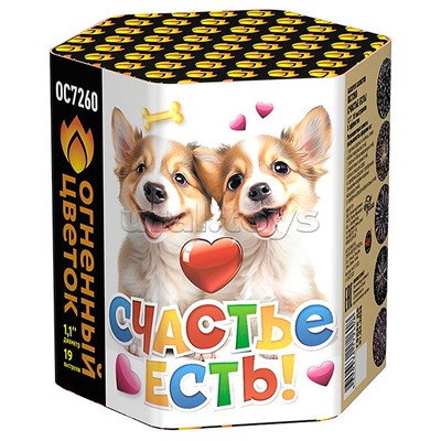 Батарея салютов "Счастье есть!" (1,1" х 19 залп.) * в кор. 18 шт. Срок до 01.04.28