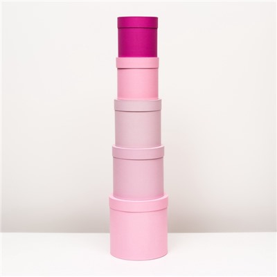 Набор шляпных подарочных коробок 5 в 1« Феерия», розовый, 23×23 - 14×14 см