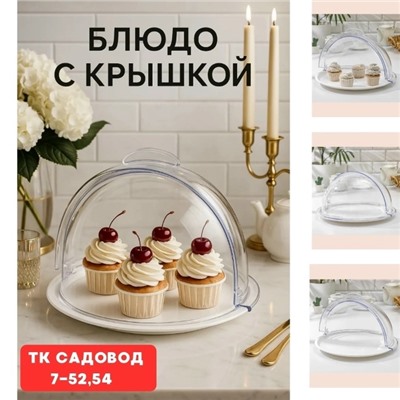 Блюдо с крышкой #23041046