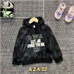 кофта с начесом 2054862-2