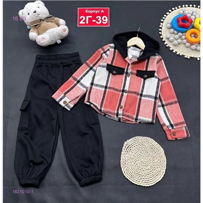 костюм с начесом 1821010-1